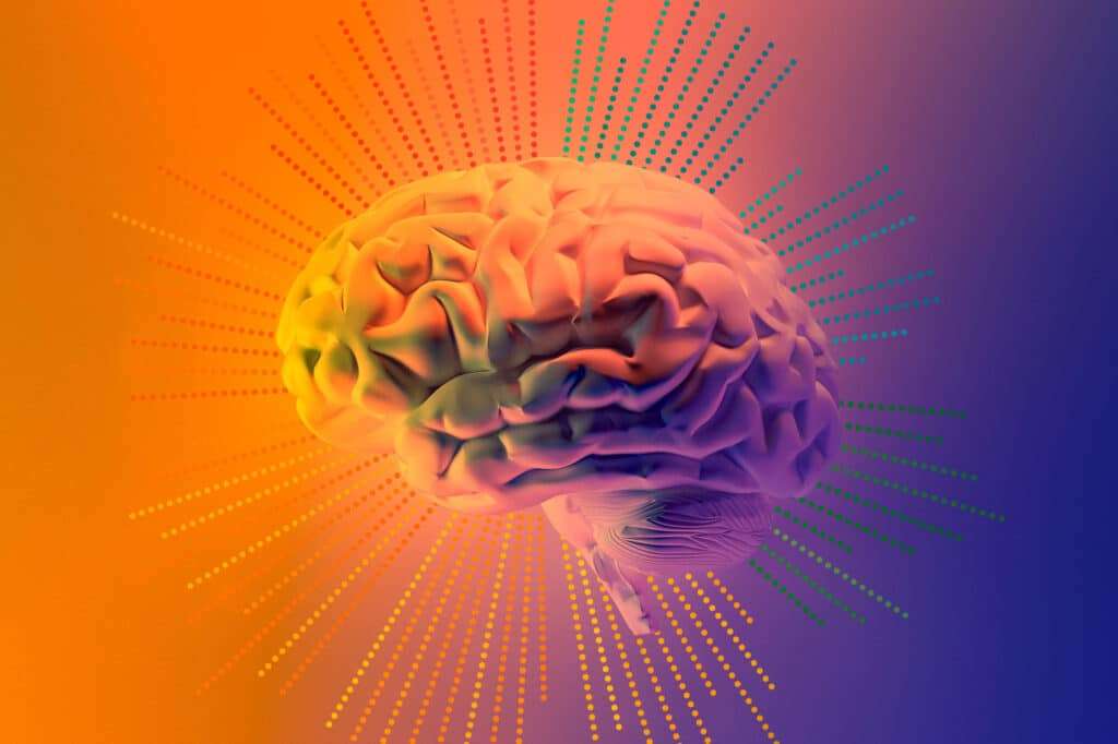 substance use brain