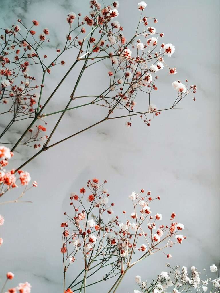 imposter syndrome - pink flowers